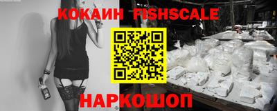 крисы Можга