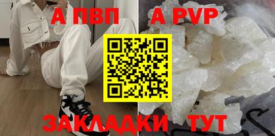 крисы Можга