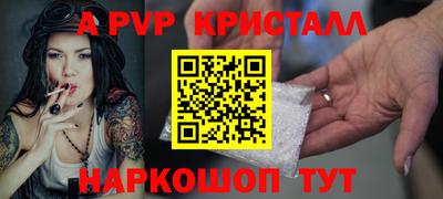 крисы Можга