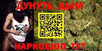 крисы Можга