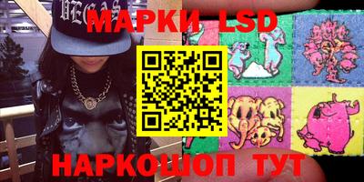 крисы Можга