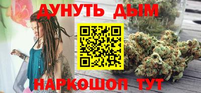 крисы Можга
