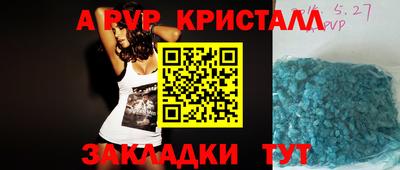 крисы Можга