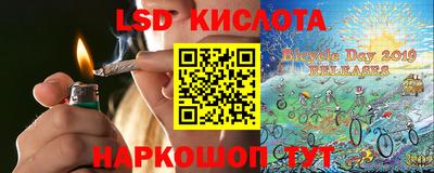 крисы Можга