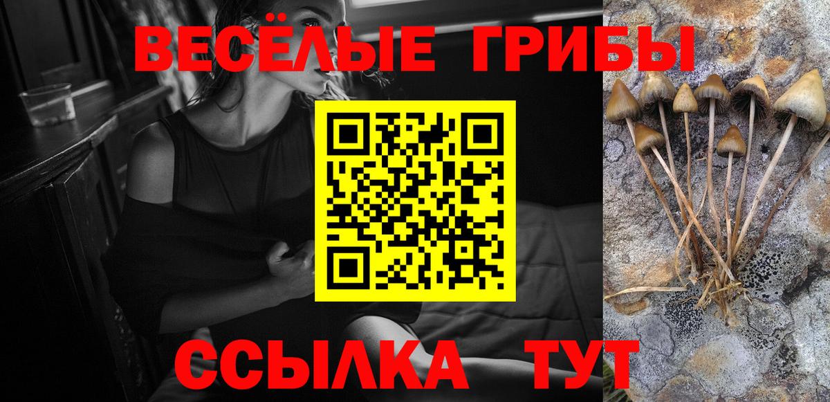 Галлюциногенные грибы прущие грибы Сегежа