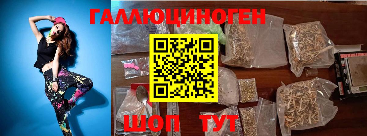 Сегежа  Псилоцибиновые грибы MAGIC MUSHROOMS  Вход с VPN 
